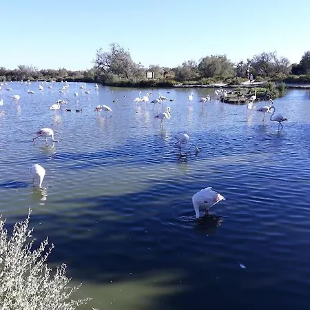 Bienvenue Au Manava Apartman